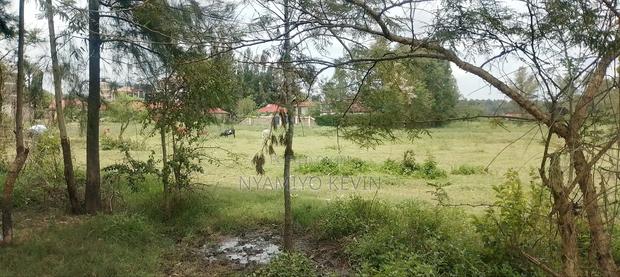 Bondo Gorofani Plot for Sale - thumbnail 6