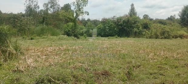 Bondo Gorofani Plot for Sale