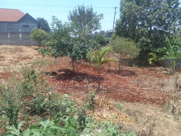 Runda Panaafric - thumbnail 3