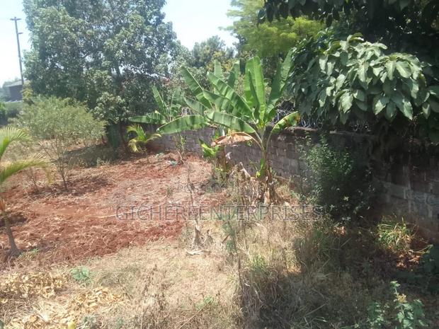 Runda Panaafric - thumbnail 4