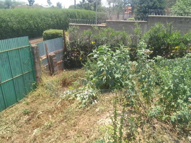 Runda Panaafric - thumbnail 5