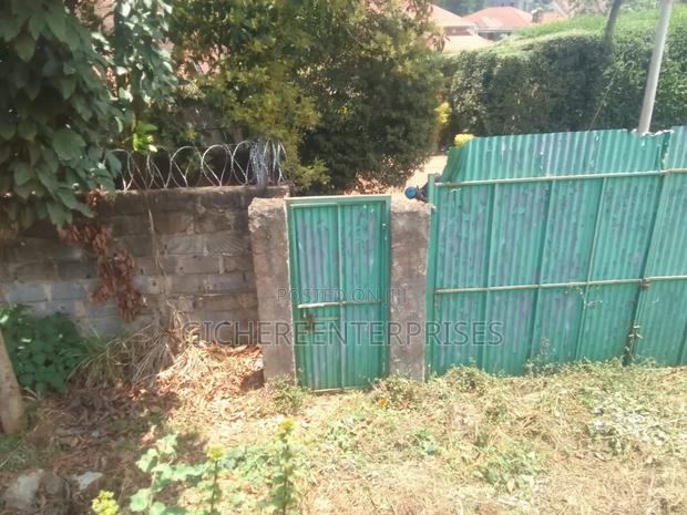 Runda Panaafric - thumbnail 7