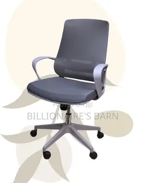 Executive Chair Ergonomic Comfy Grey | Same-Day Delivery Available