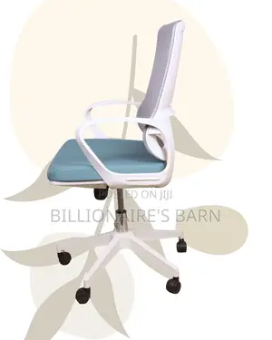 Space-Saving Pro-Grade | Backrest Mesh | Perfect for Home Office