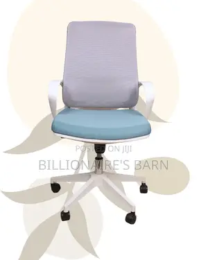 Space-Saving Pro-Grade | Backrest Mesh | Perfect for Home Office
