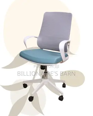 Space-Saving Pro-Grade | Backrest Mesh | Perfect for Home Office