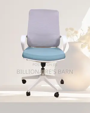 Modern Durable Lumbar Support Mesh | Best Deal Online