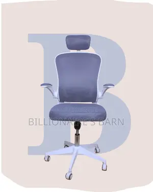 Ergonomic | Seat Ergonomic Foam | Same-Day Delivery Available