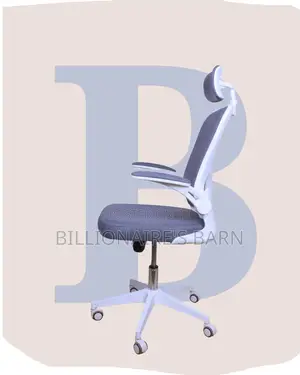 Ergonomic | Seat Ergonomic Foam | Same-Day Delivery Available
