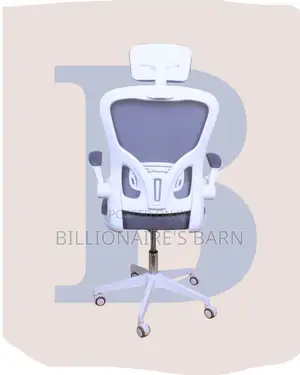 Ergonomic | Seat Ergonomic Foam | Same-Day Delivery Available