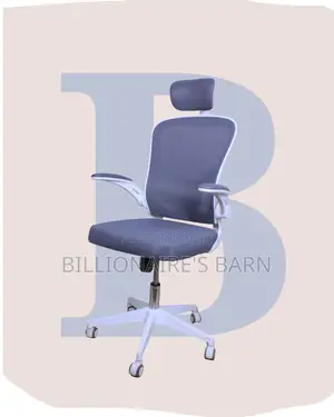 Ergonomic | Seat Ergonomic Foam | Same-Day Delivery Available