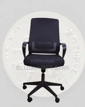 Home Office Clean — Chair Mesh Ergonomic | Order Yours Today