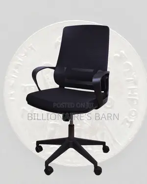 Home Office Clean — Chair Mesh Ergonomic | Order Yours Today