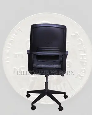 Home Office Clean — Chair Mesh Ergonomic | Order Yours Today