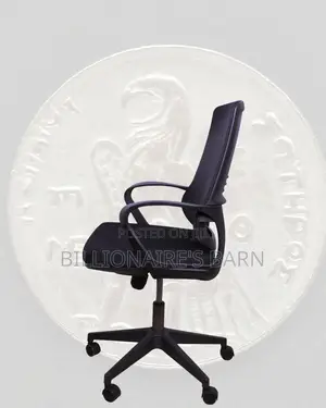 Home Office Clean — Chair Mesh Ergonomic | Order Yours Today