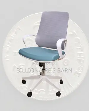 Breathable Mesh Lock Breathable Office | Same-Day Delivery Available