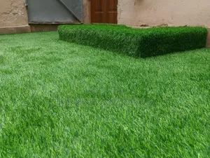 25mm High Density Artificial Grass Carpet for Home Field