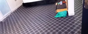 Affordable Wall to Wall Maasai Mara Carpet Easy to Clean and Install