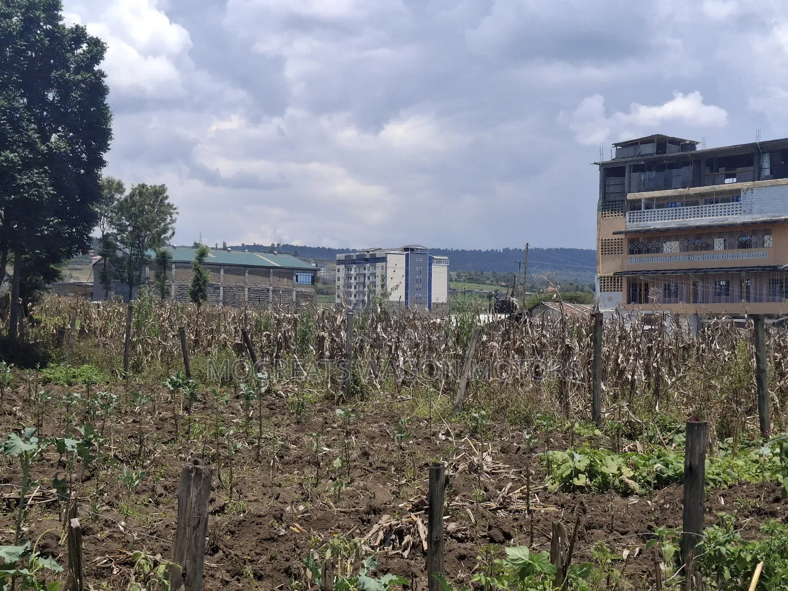 50×100 Plots for Sale at Soilo Teachers Nakuru Eveready
