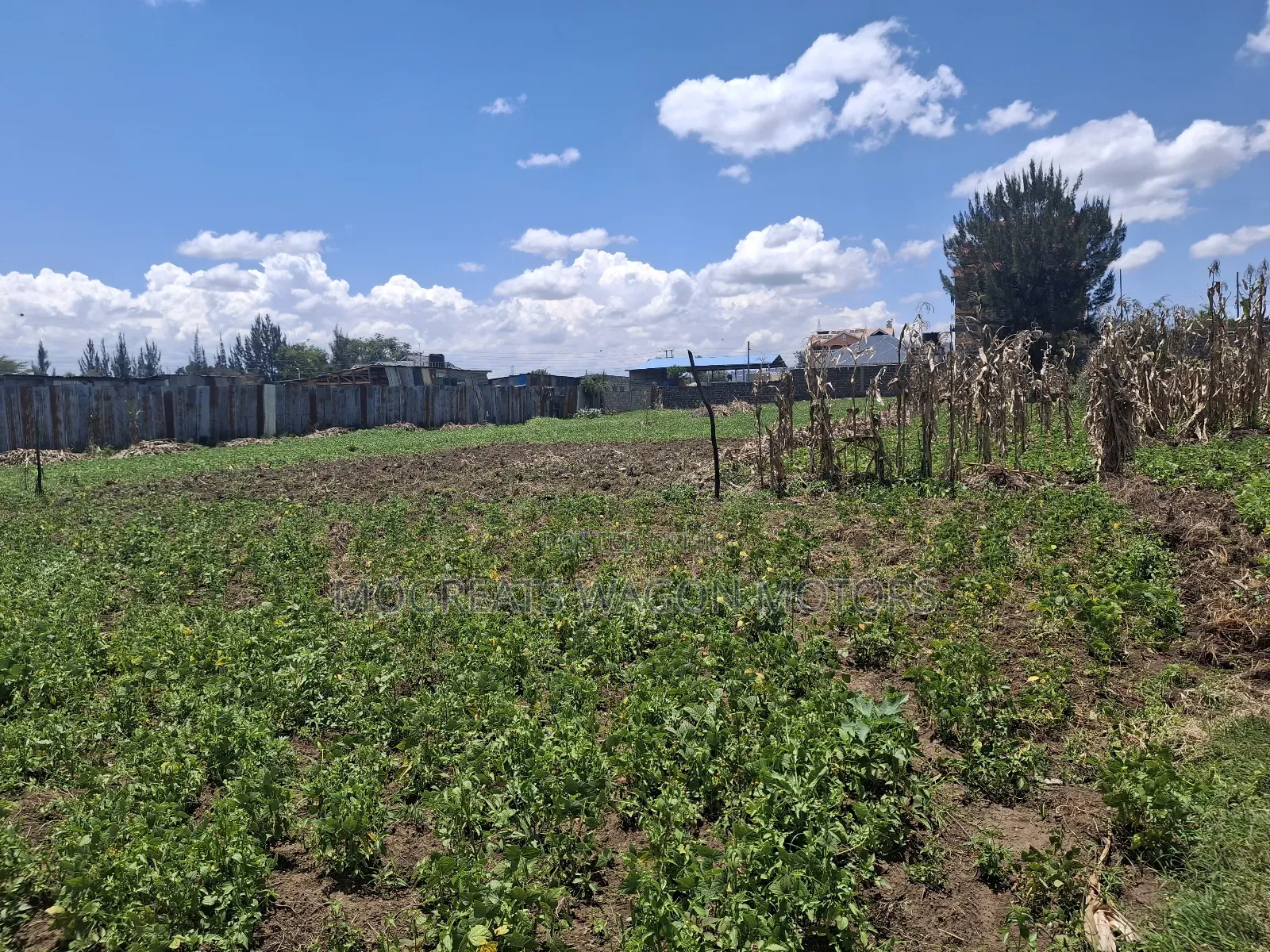 50×100 Plots for Sale at Soilo Teachers Nakuru Eveready