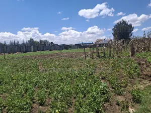 50×100 Plots for Sale at Soilo Teachers Nakuru Eveready