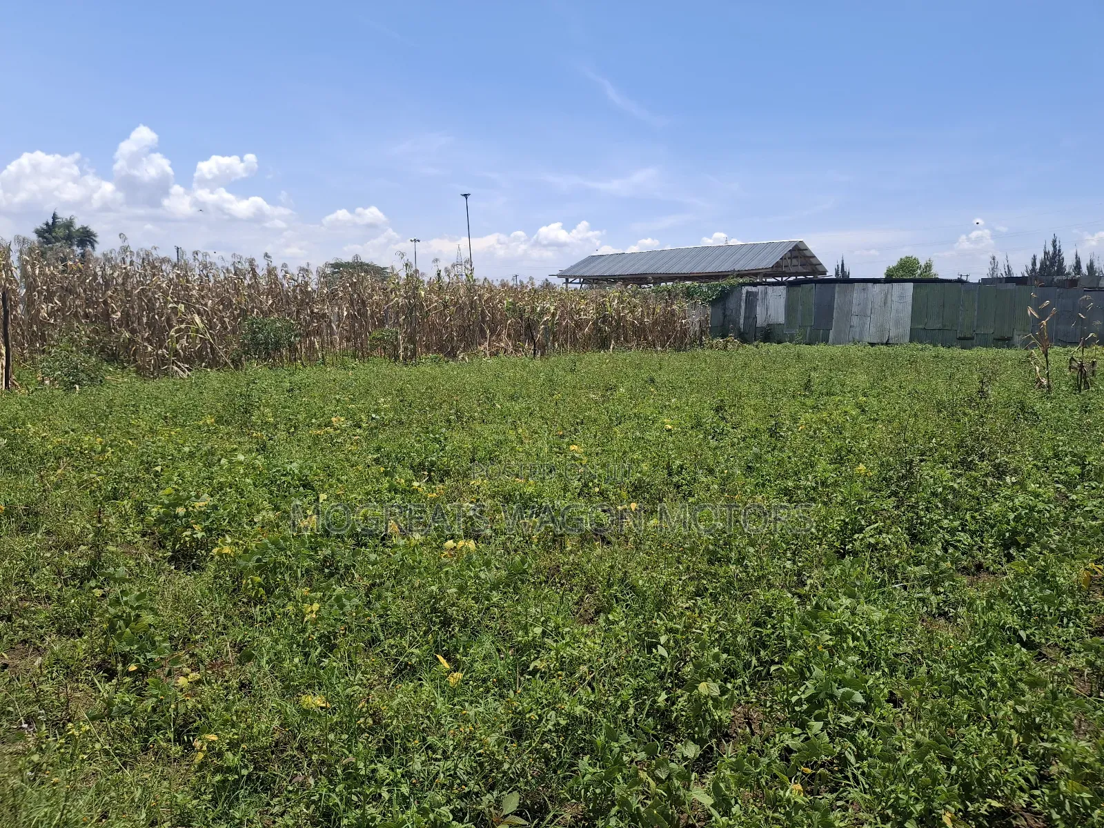 50×100 Plots for Sale at Soilo Teachers Nakuru Eveready