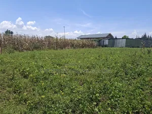50×100 Plots for Sale at Soilo Teachers Nakuru Eveready