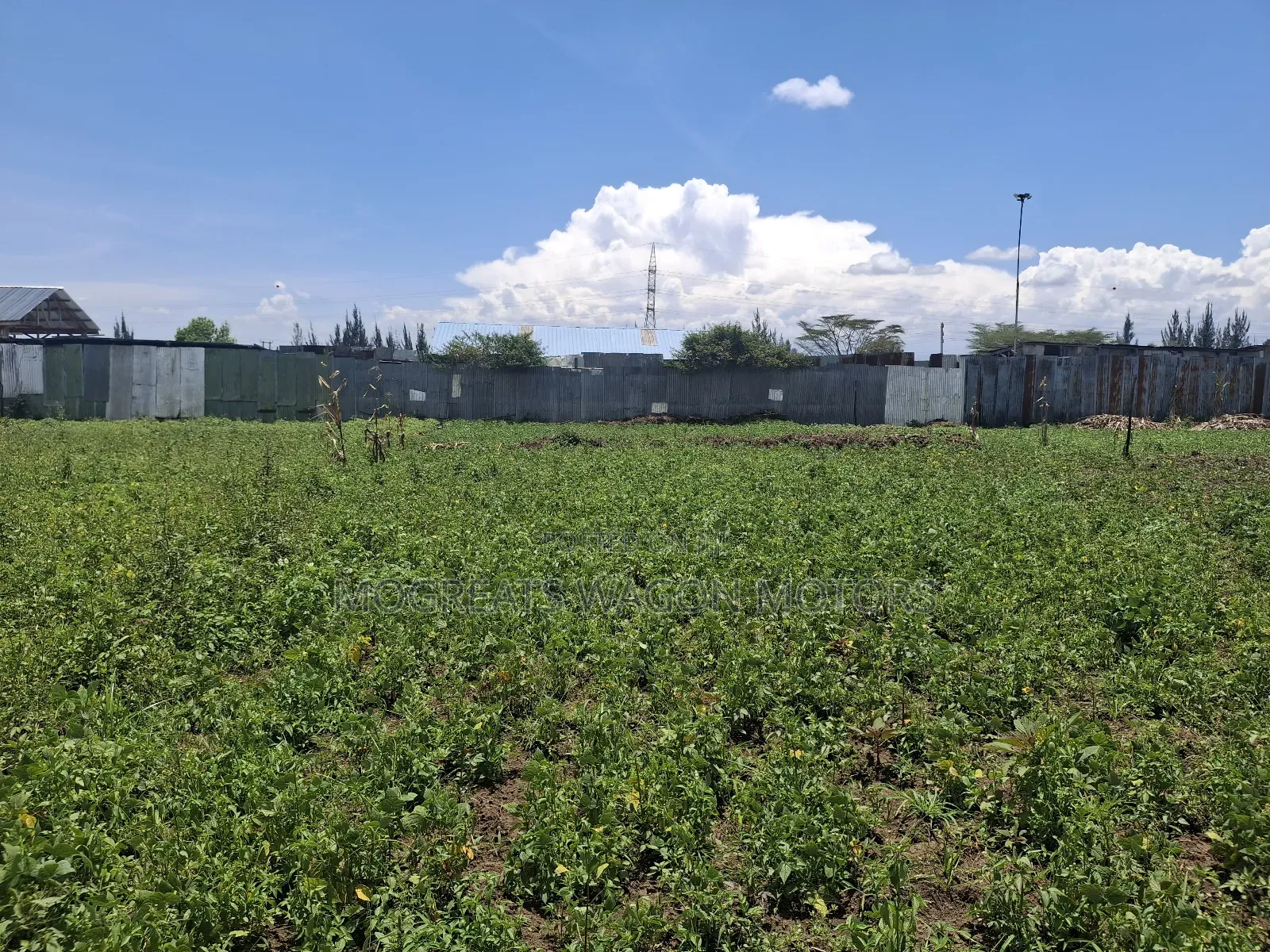 50×100 Plots for Sale at Soilo Teachers Nakuru Eveready