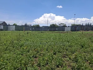50×100 Plots for Sale at Soilo Teachers Nakuru Eveready