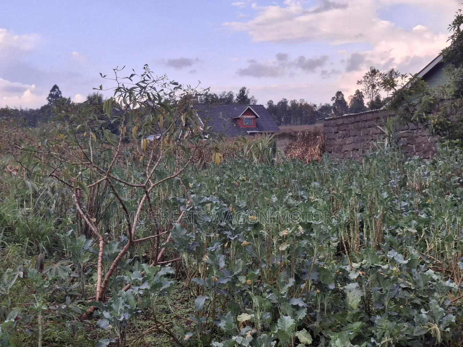 1/8 Plot for Sale at Upperhill Estate Soilo Nakuru