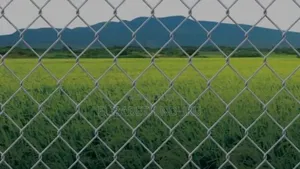Agricultural Fencing Chain Link