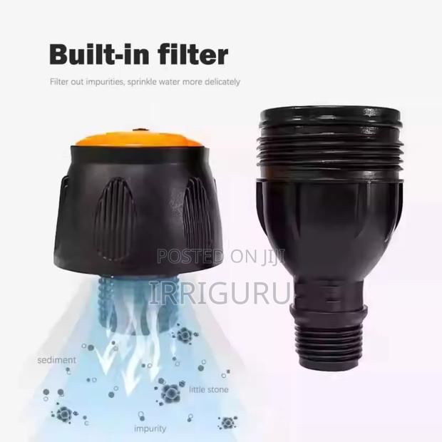 Egg Shaped - main view