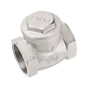 Silver Non-Return