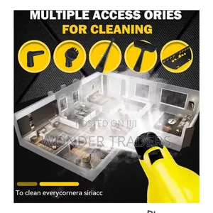 *220v Handheld High Temperature Steam Cleaner Sterilization