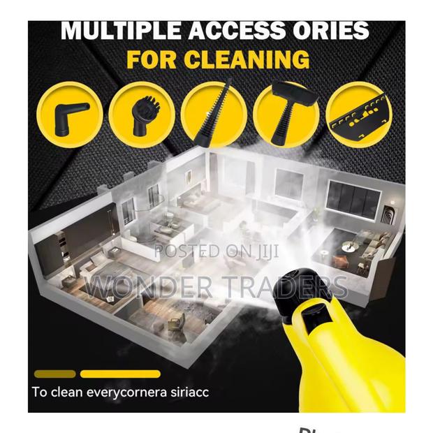 *220v Handheld High Temperature Steam Cleaner Sterilization