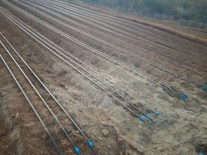 Driptapes - - main view