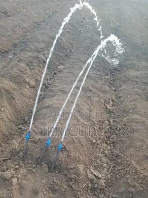 Dripline Irrigation