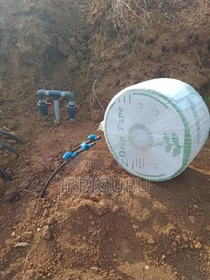 Drip Lines Irrigation - main view