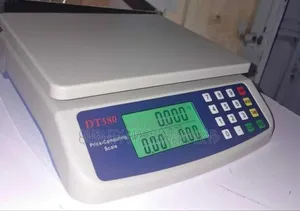 Digital Dt580 Rechargeable Battery Weighing Scale With a Charger