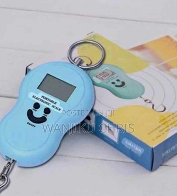 Best Electronic Weighing Scale/Pocket Scale 50kgs