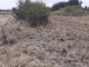 3 Plots for Sale