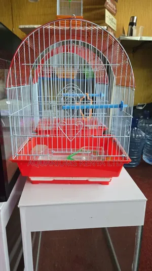 Spacious Birdcages,With Strong Bars