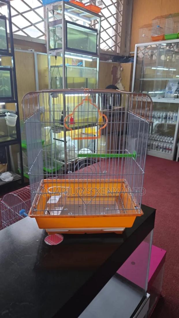 A Cozy Home for Your Birds,Birdcages - main view