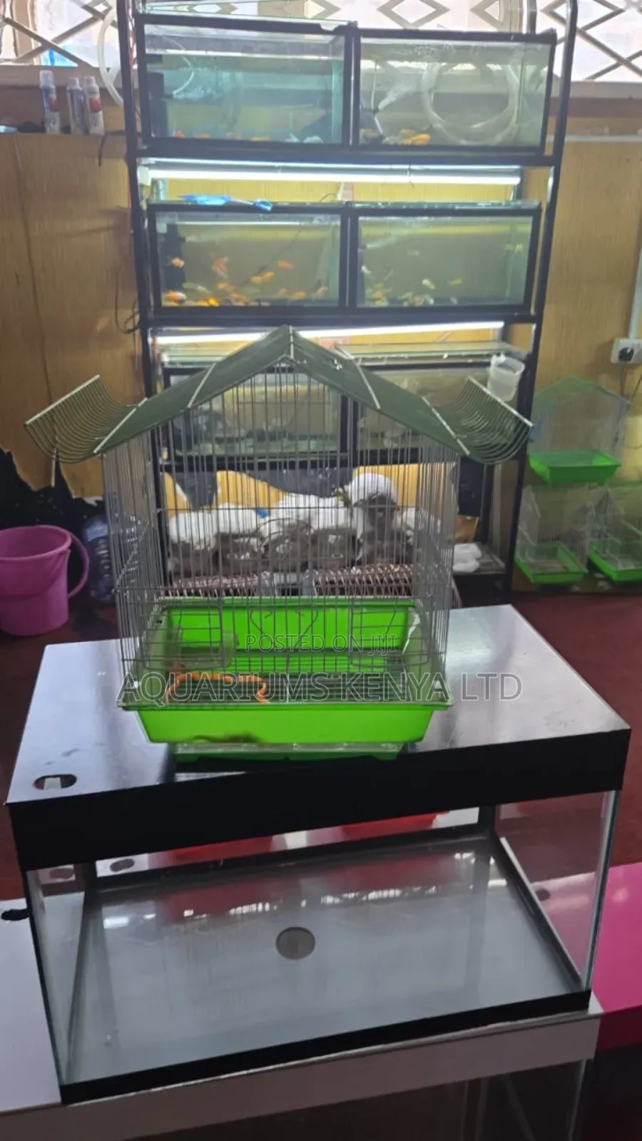 Rust Resistant Birdcages,Cages