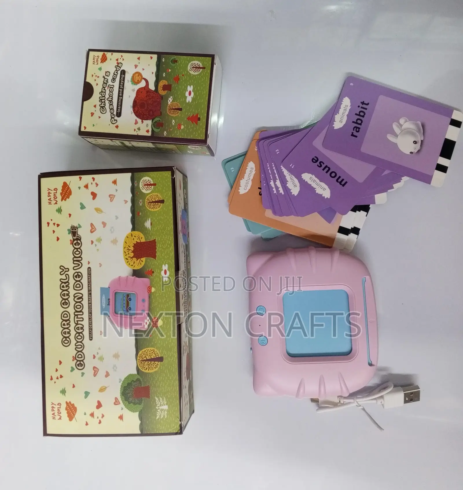Rechargeable Talking Flashing Card Reader
