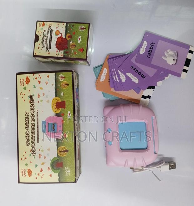 Rechargeable Talking Flashing Card Reader