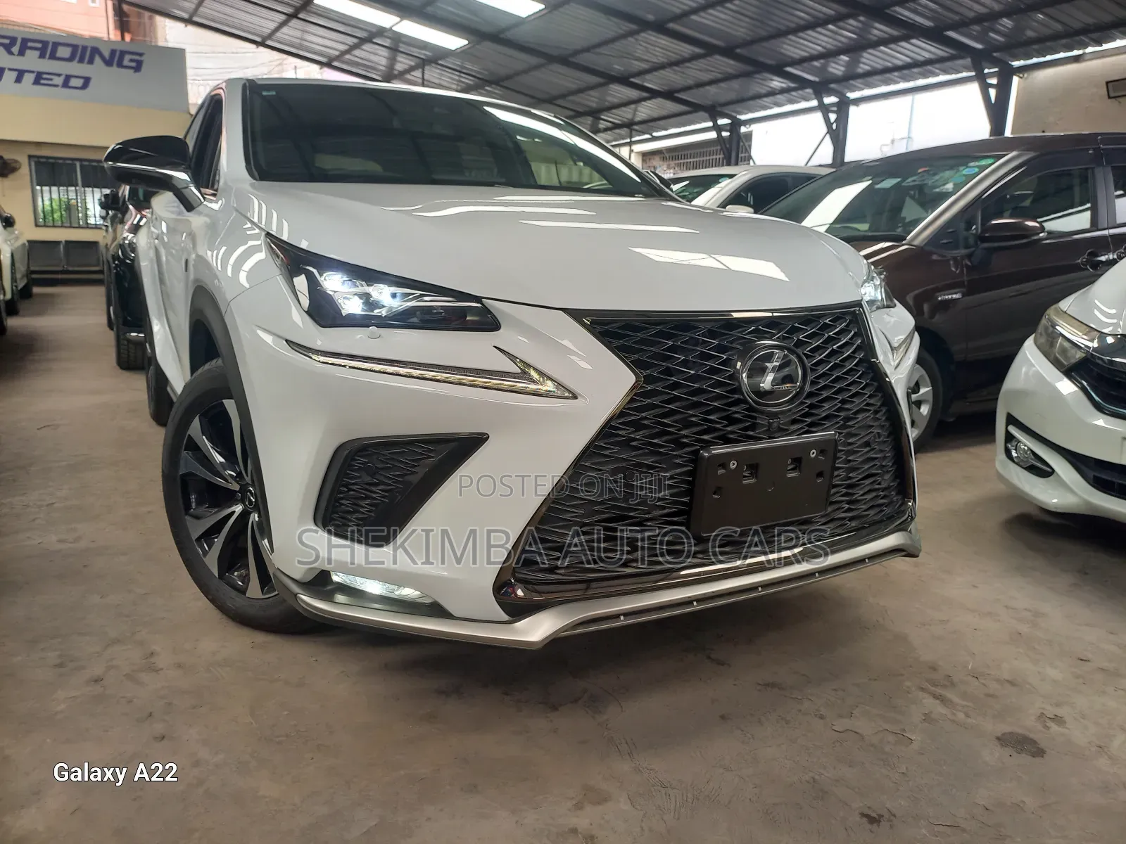 Lexus NX 2019 White