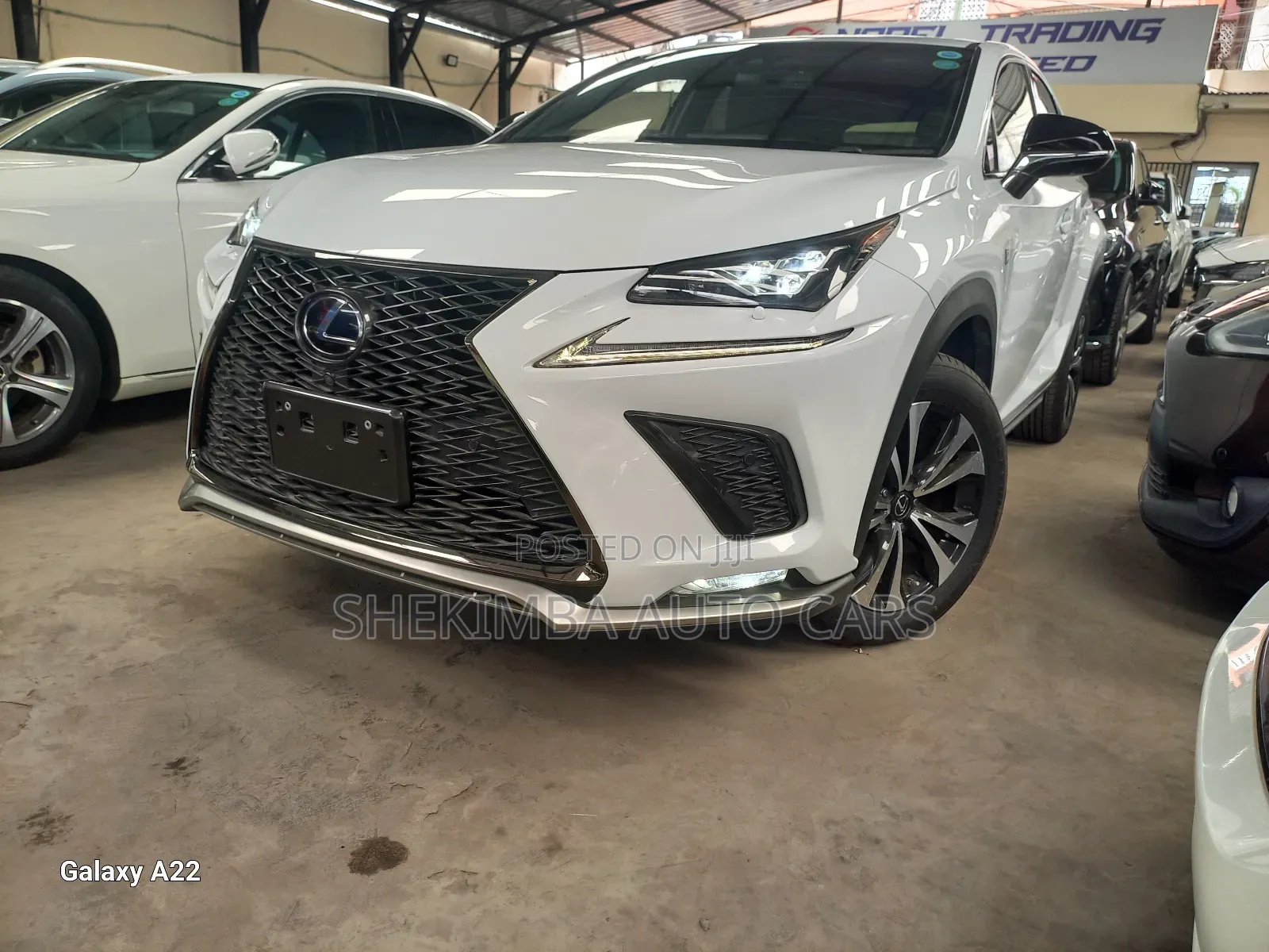 Lexus NX 2019 White