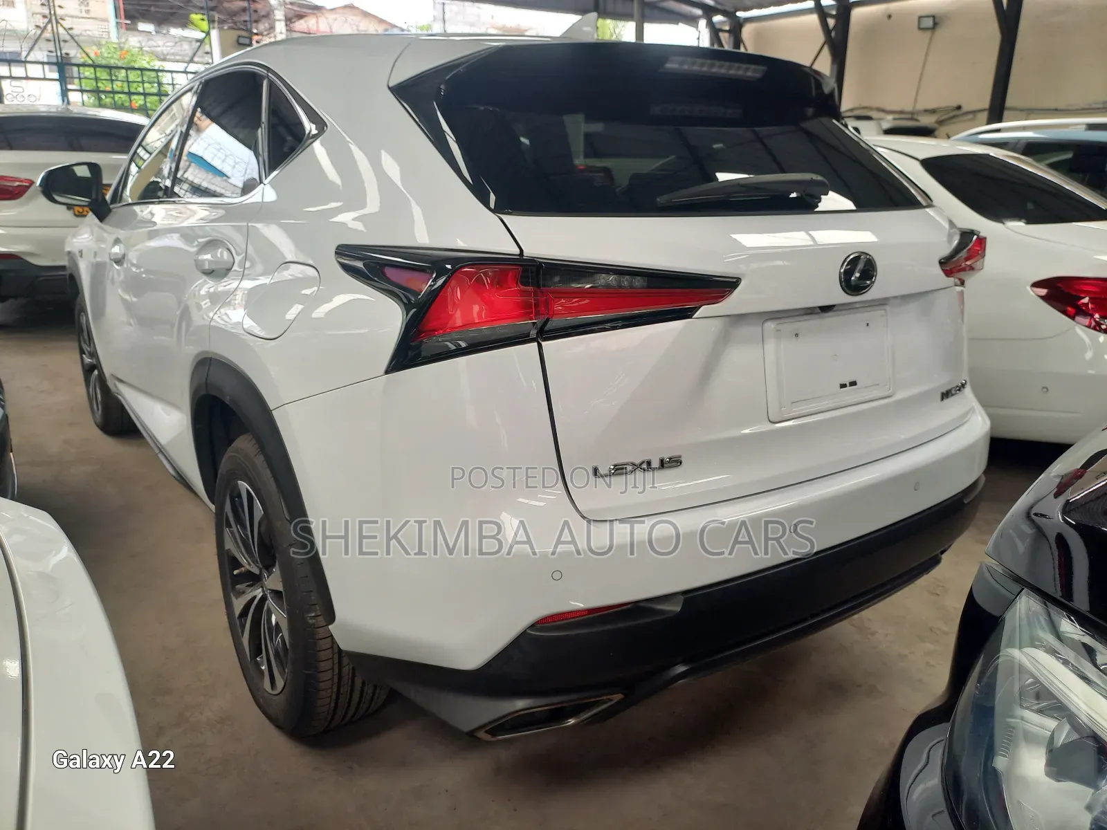 Lexus NX 2019 White