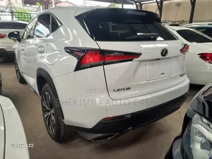 Lexus NX 2019 White